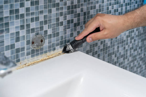 Professional Mold Removal in Dupont, PA