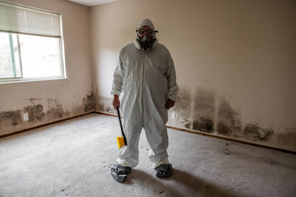 Best Water Damage Restoration  in Dupont, PA